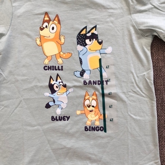 MOOSE Toddler Boy Girl Bluey Printed Short Sleeve T-Shirt Green 4T - Picture 4 of 8